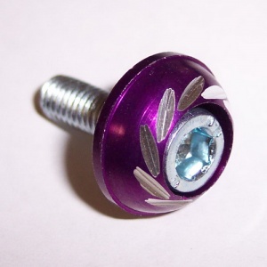 Болт декоративный фиолетовый круглый М6 L-25